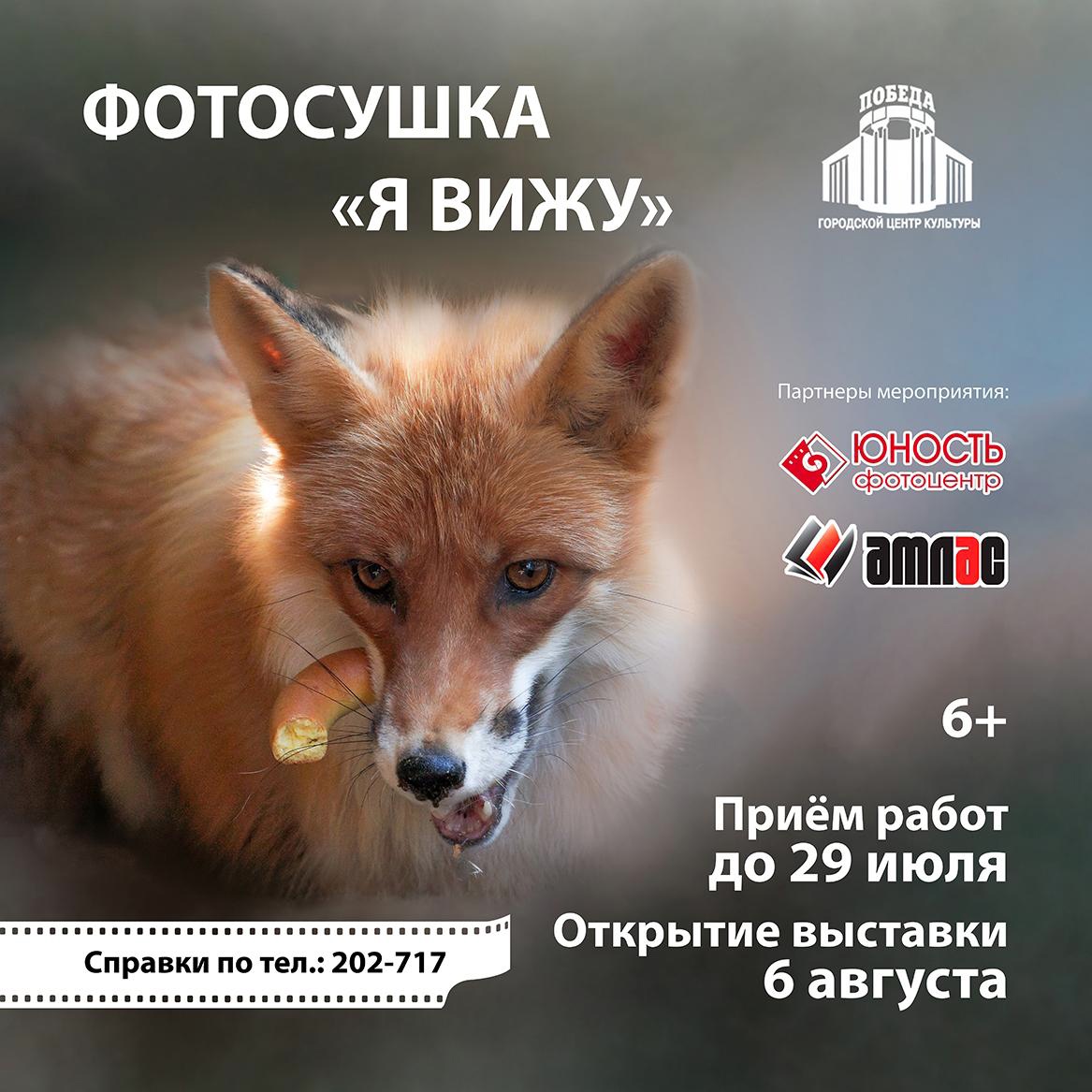 С 1 июля 2024 приём заявок на конкурс "Фотосушка "Я вижу" в Абакане